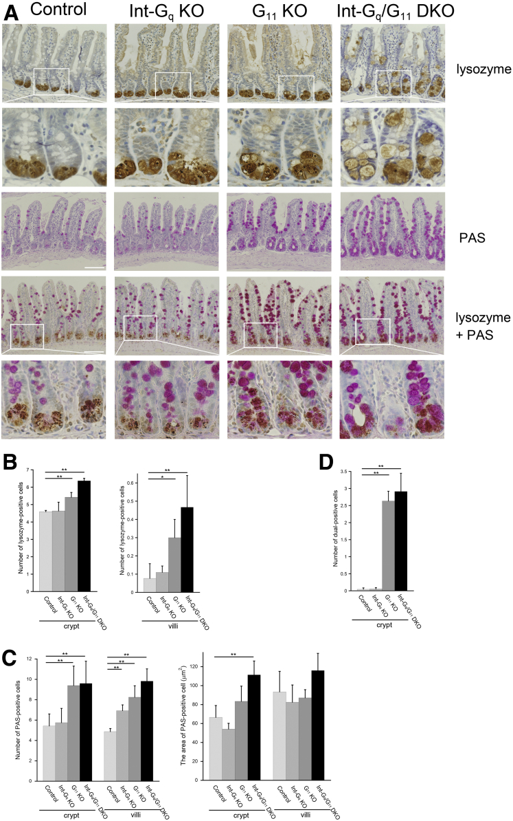 Figure 3