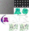 Extended Data Figure 3