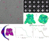 Extended Data Figure 7