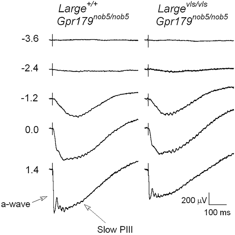 Fig. 3