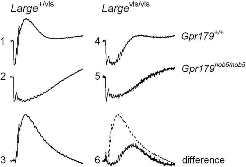 Fig. 5