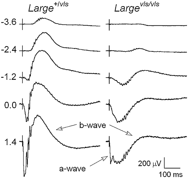 Fig. 1