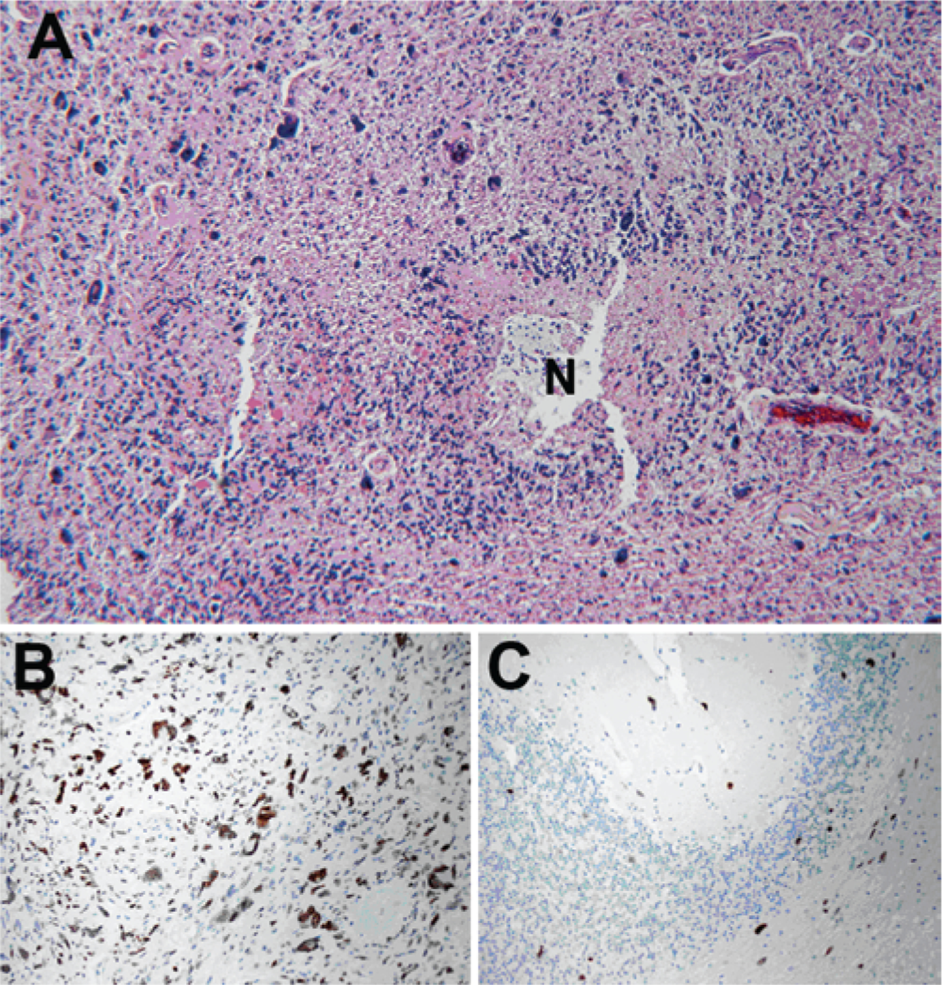 FIG. 4.