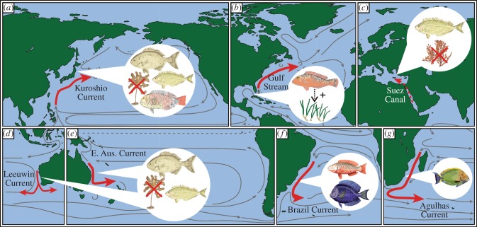 Figure 2.