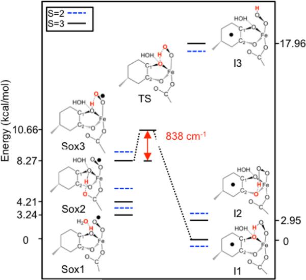 Figure 11