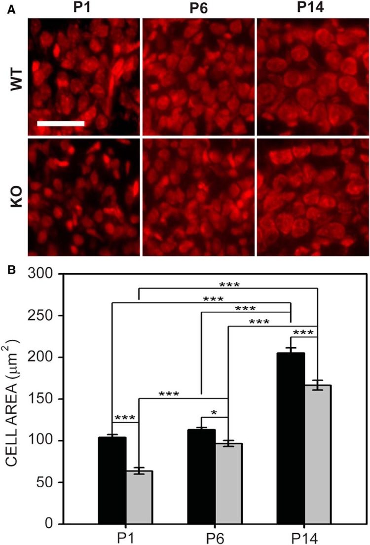 Figure 2.