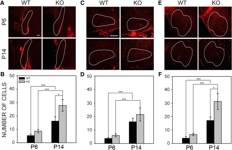 Figure 10.