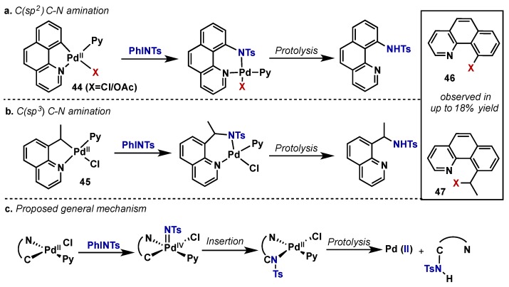 Scheme 25