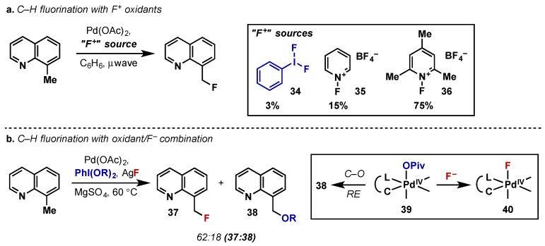 Scheme 20