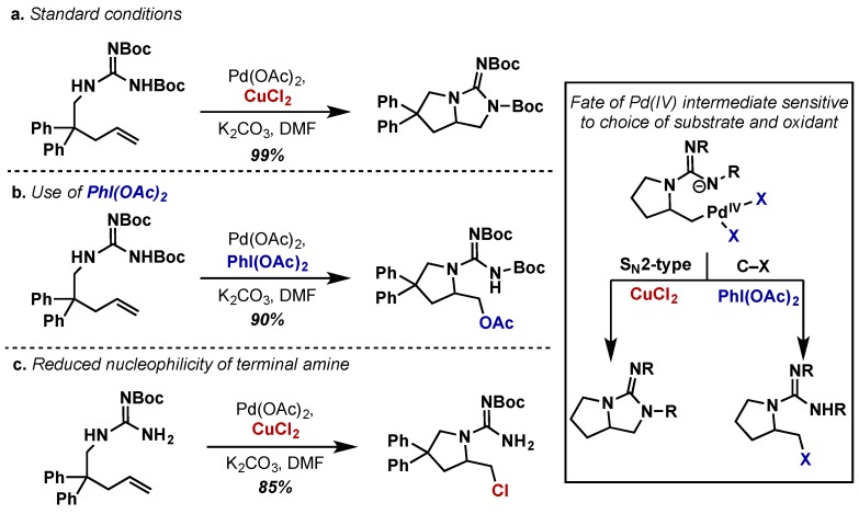 Scheme 23