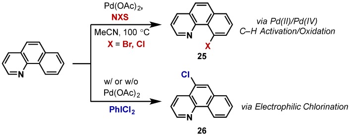 Scheme 16