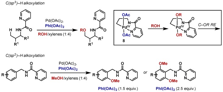 Scheme 9