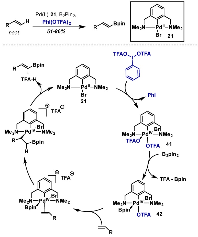 Scheme 21