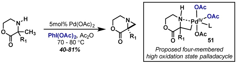 Scheme 30