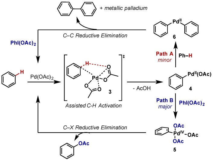 Scheme 3