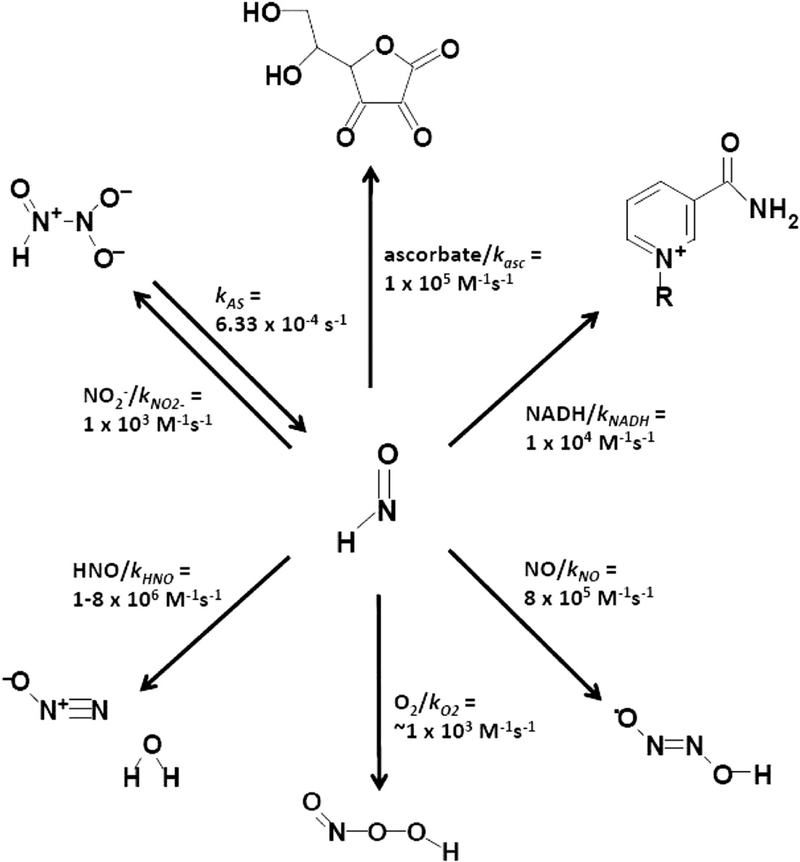 Scheme 1.