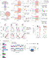 Fig. 4 |