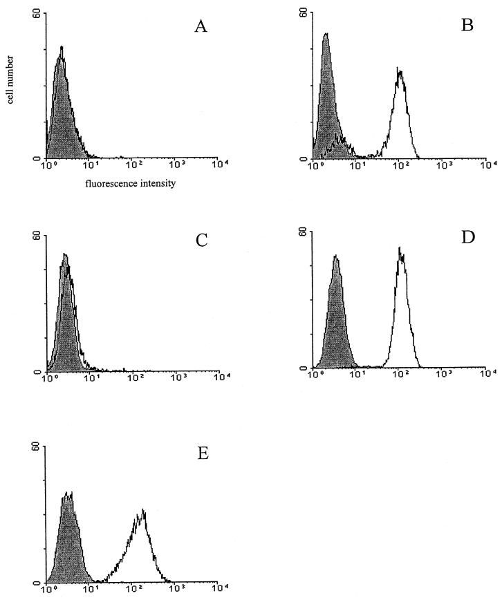 FIG. 1