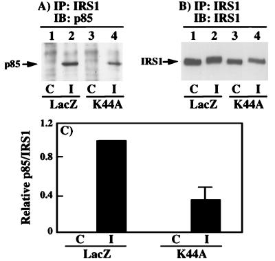 FIG. 6