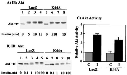 FIG. 7