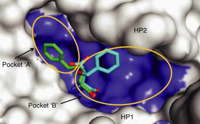 Fig. 7