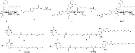 Scheme 1