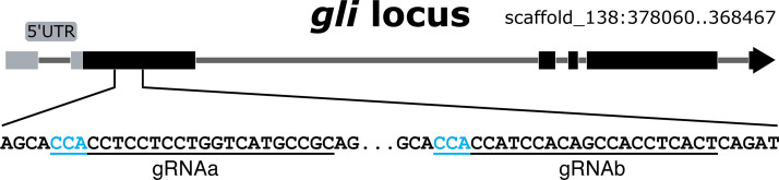 Figure 7—figure supplement 1.