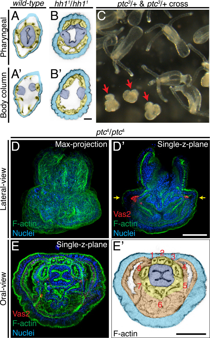 Figure 10.