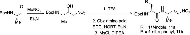 Scheme 2