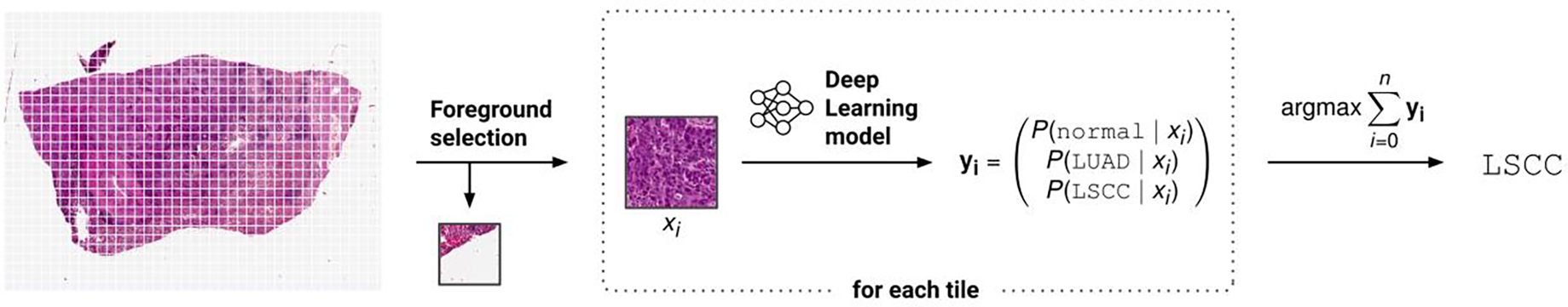 Figure 3: