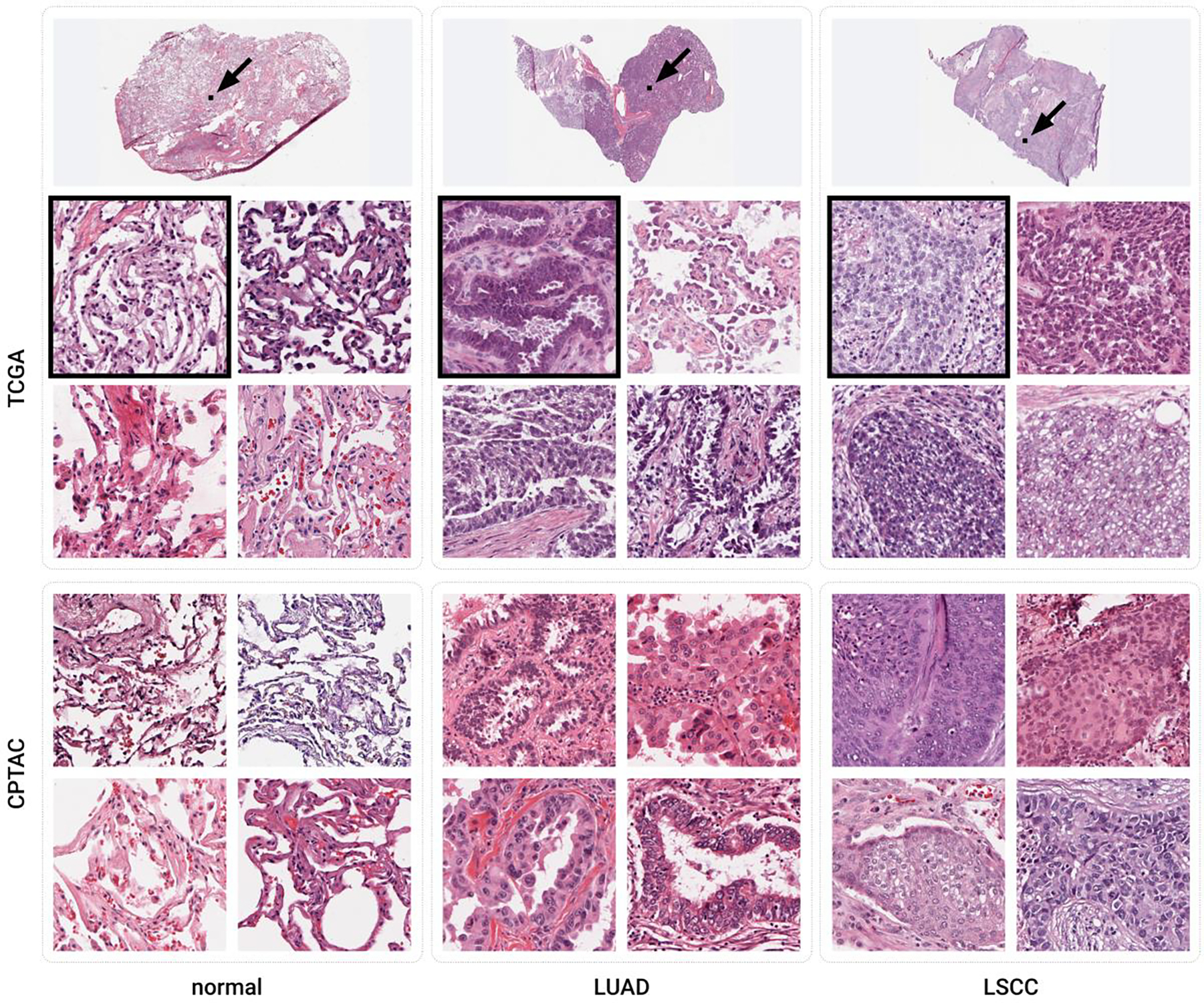 Figure 2: