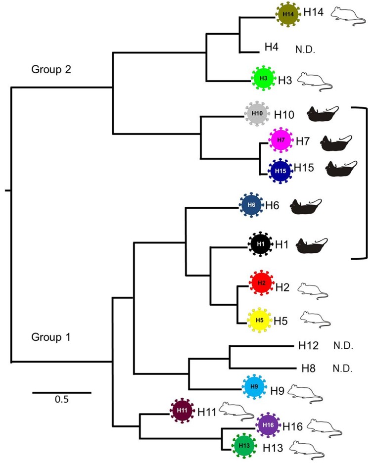 FIG 6 