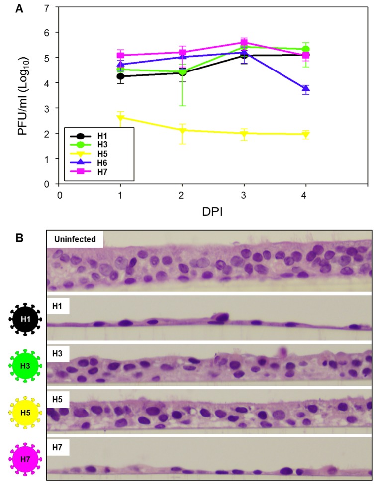 FIG 5 