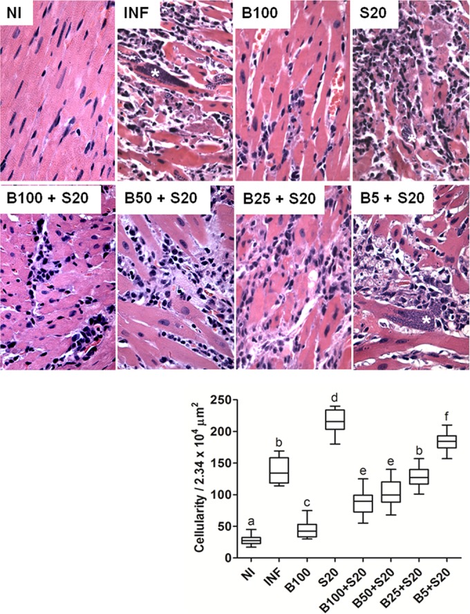 FIG 2