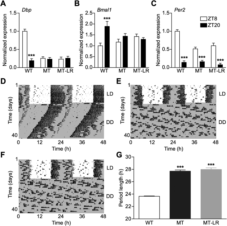 Figure 3