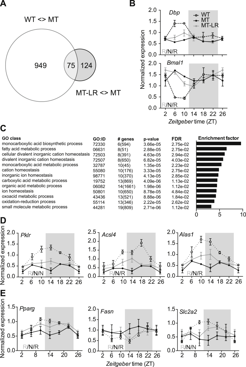 Figure 6