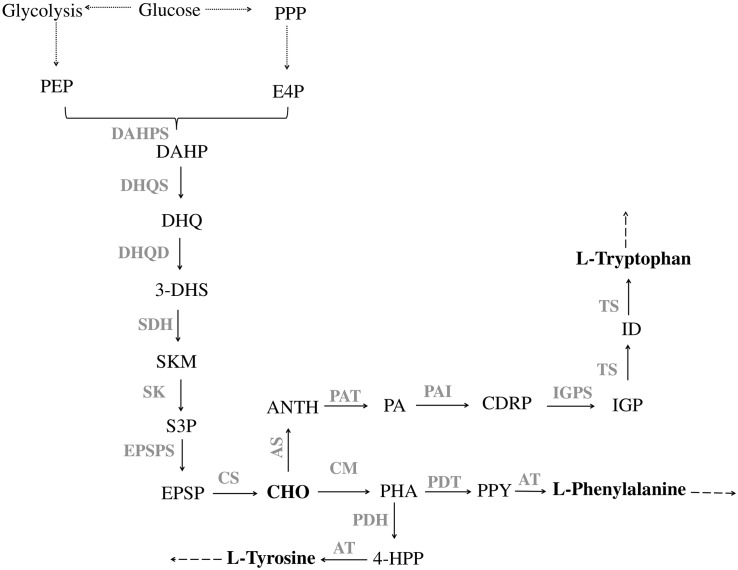 FIGURE 1