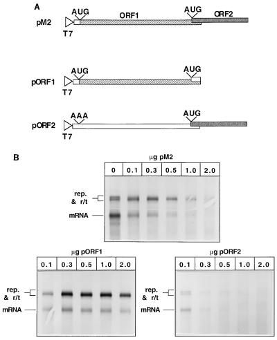 FIG. 5