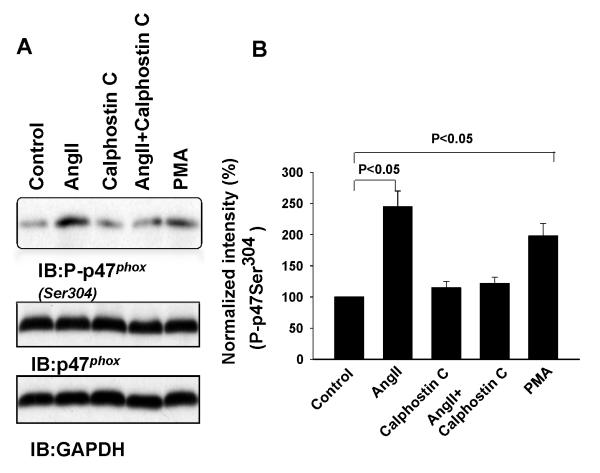 Fig. 6