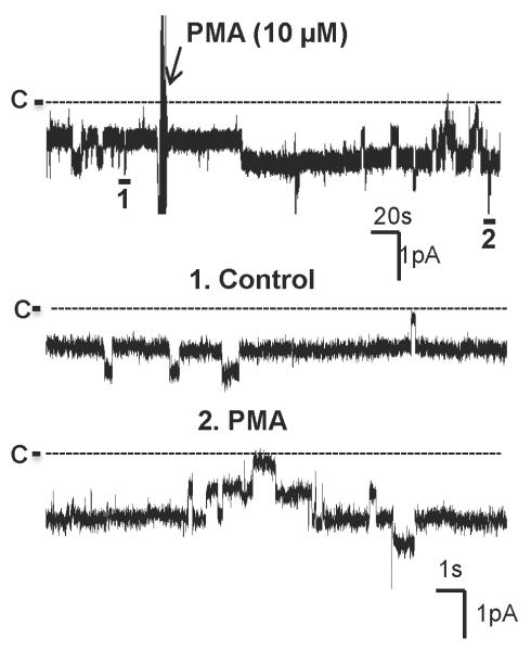 Fig. 5