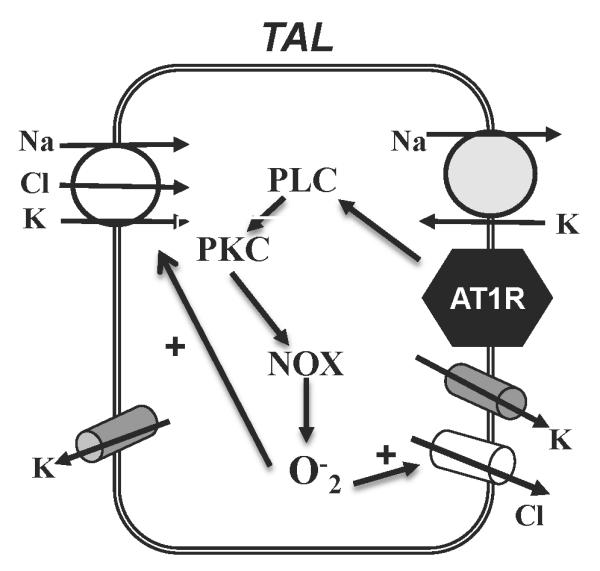 Fig. 10