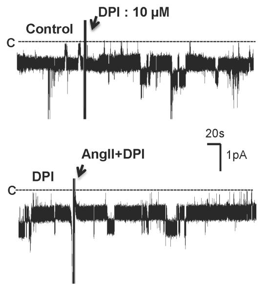 Fig.7