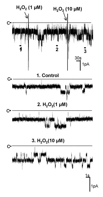 Fig. 9