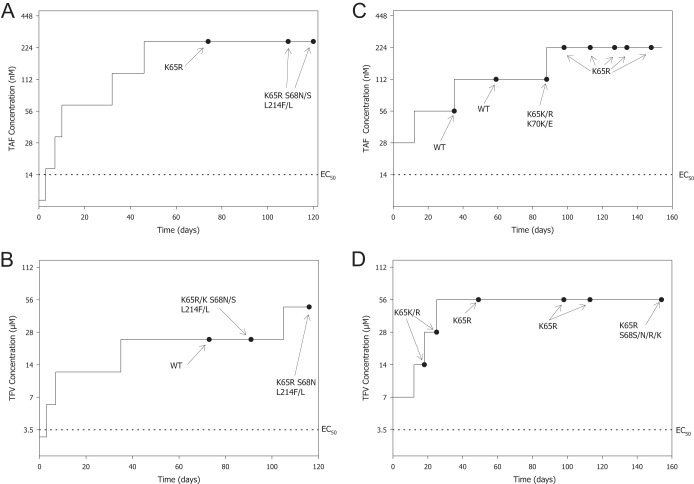 FIG 2