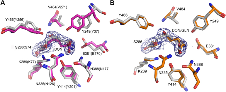 Figure 7