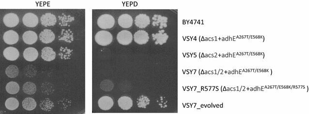 Fig. 2