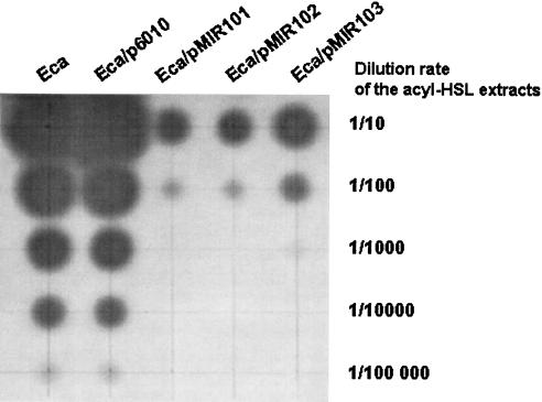 FIG. 5.