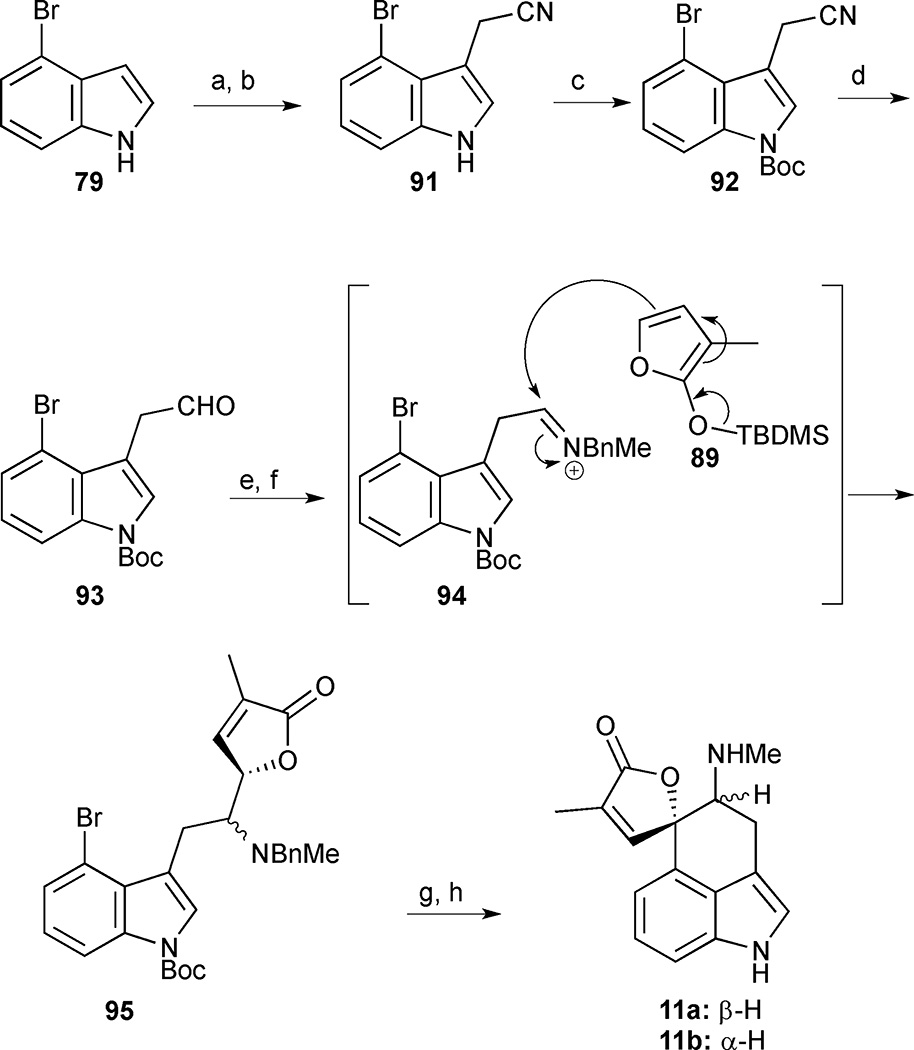 Scheme 8