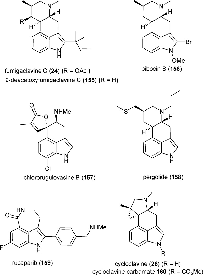 Figure 20