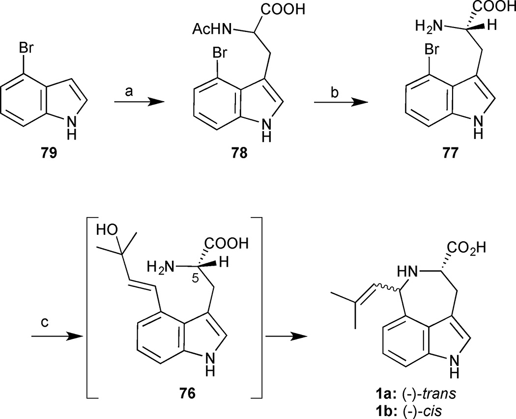 Scheme 6